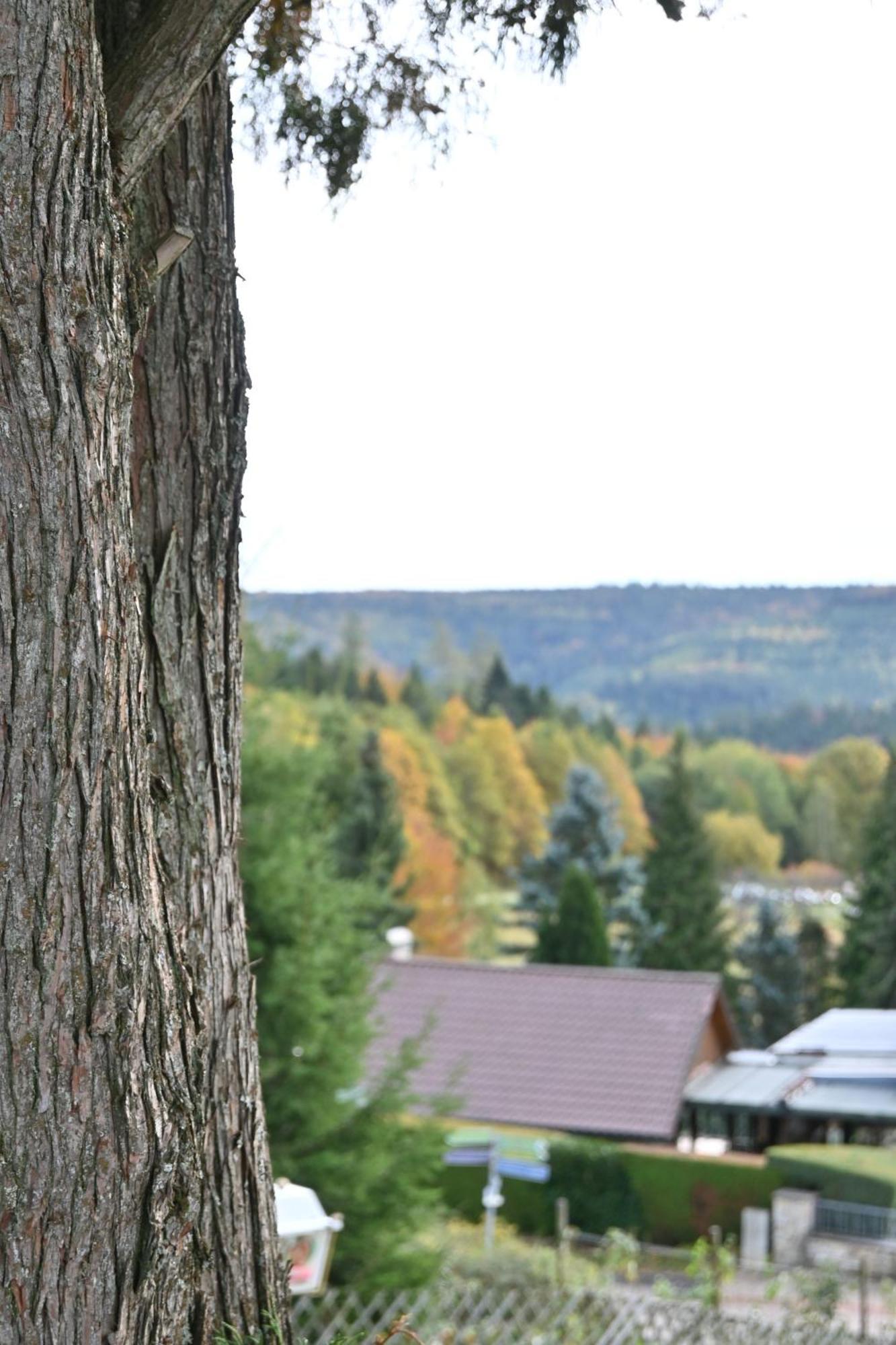 Hotel Talblick Dobel Eksteriør bilde