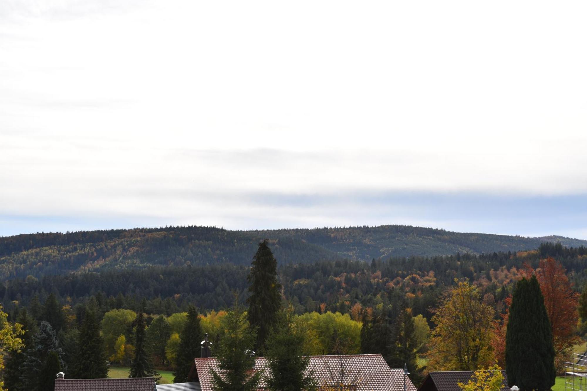 Hotel Talblick Dobel Rom bilde